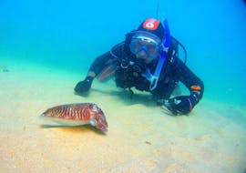 PADI Advanced Open Water Diver Course in Lagos with Blue Ocean Divers Lagos