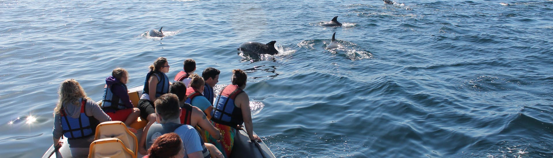 Paseo en Barco "Avistamiento de Delfines" - Praia Da Luz.