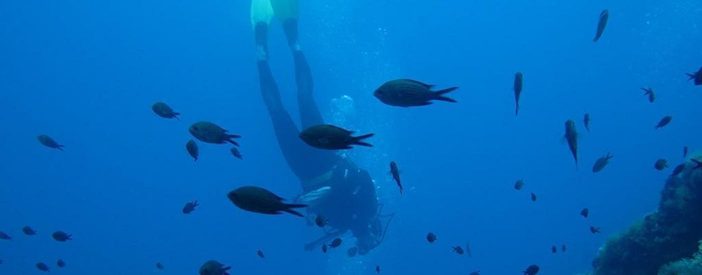 A tourist is swimming during his guided scuba diving in l'île rousse with EPIR Plongée.