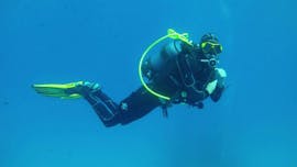 PADI Discover Scuba Diving in Marsalforn auf Gozo mit Atlantis Diving Centre Marsalforn .
