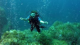 A scuba diver swimming over a reef floor.