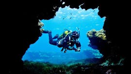 Een duiker neemt deel aan een Scuba Diving Course voor beginners verzorgd door Endless Oceans Diving Centre Gozo.