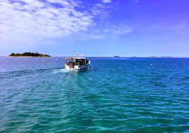 Immersioni guidate a Rovigno (Rovinj) per sub certificati con Morski Puz Diving Rovinj Immersioni guidate a Rovigno (Rovinj) per sub certificati con Morski Puz Diving Rovinj.