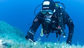 Guided Boat Dives in Bol for Certified Divers from Big Blue Diving Bol.