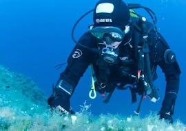 Guided Boat Dives in Bol for Certified Divers with Big Blue Diving Bol