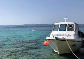 Schnorcheln rund um die Inseln Hvar & Brač von Bol mit Big Blue Diving Bol Schnorcheln rund um die Inseln Hvar & Brač von Bol mit Big Blue Diving Bol.