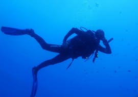 Corso di immersione (PADI) a Bol per sub certificati con Big Blue Diving Bol.