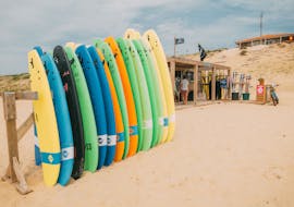 surfing-lessons-plage-des-bourdaines-all-levels-escf-seignosse with ESCF Anglet
