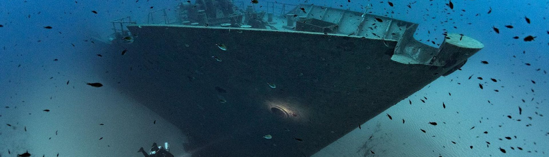 Een duiker onderzoekt een scheepswrak tijdens het wrakduiken op Malta voor gebrevetteerde duikers.