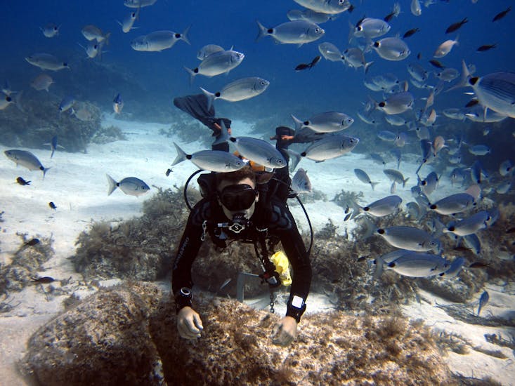 A scuba diver is enjoying the first time under water during the PADI Discover Scuba Diving in St. Julian's in Malta with DiveWise Malta.