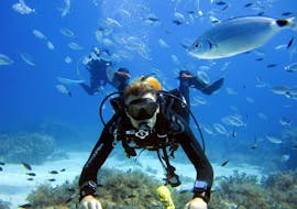 PADI Discover Scuba Diving in St. Julian&#39;s in Malta with DiveWise Malta