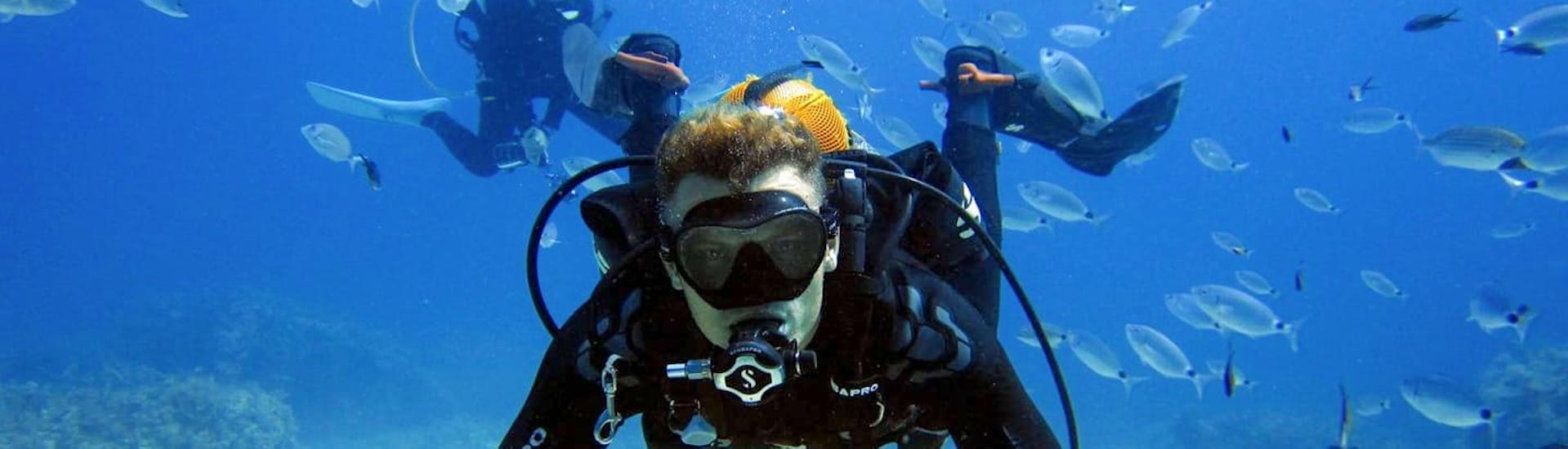 PADI Discover Scuba Diving in St. Julian&#39;s in Malta with DiveWise Malta - Hero image