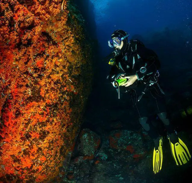 Formation plongée PADI Scuba Diver à Hyères pour Débutants avec European Diving School Hyères Un plongeur est sous l'eau pour le cours de Plongée "PADI Scuba Diver" à Hyères avec European Diving School.