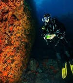 Ein Taucher ist für seinen Tauchkurs "PADI Scuba Diver" unter Wasser in Hyères mit European Diving School.