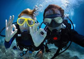 Tauchpackages in Tučepi an der Makarska Riviera mit Butterfly Diving & Sailing Makarska Tauchpackages in Tučepi an der Makarska Riviera mit Butterfly Diving & Sailing Makarska.