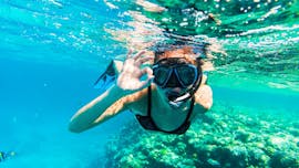 Foto van een vrouw die snorkelt in Cirkewwa met Orange Shark Diving Centres Malta.