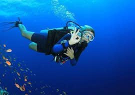CMAS** Tauchkurs in Tučepi für Fortgeschrittene mit Butterfly Diving & Sailing Makarska CMAS** Tauchkurs in Tučepi für Fortgeschrittene mit Butterfly Diving & Sailing Makarska.