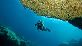 Bekijk tijdens PADI Discover Scuba Diving in Mellieħa voor Beginners met Orange Shark Duikcentra Malta.