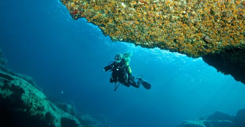 Baptême de plongée (PADI) à Mellieħa pour Débutants avec Orange Shark Diving Centres Malta Baptême de plongée (PADI) à Mellieħa pour Débutants avec Orange Shark Diving Centres Malta.