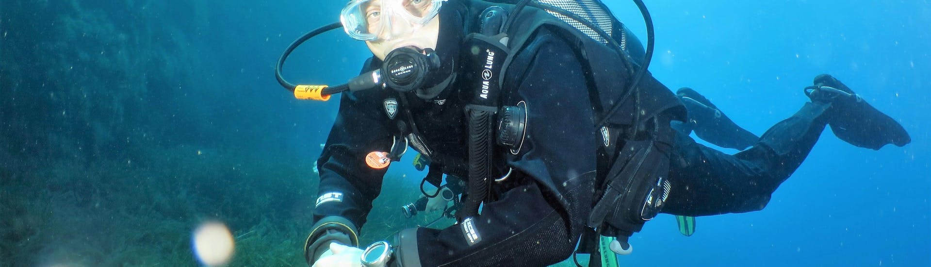 Beim Tauchkurs für Anfänger - SSI Scuba Diver mit Octopus Garden  bestaunt ein Taucher einen Seehasen, der im Mittelmeer rund um Malta lebt.