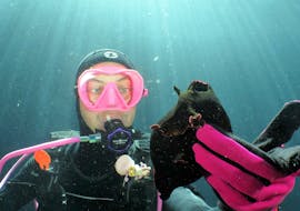 Beim Tauchkurs für Anfänger - SSI Scuba Diver mit Octopus Garden  bestaunt ein Taucher einen Seehasen, der im Mittelmeer rund um Malta lebt.