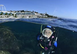 Scuba Diving - Guided Reef &amp; Bay Dives from Rijeka with Diving Center Marco Polo Rijeka