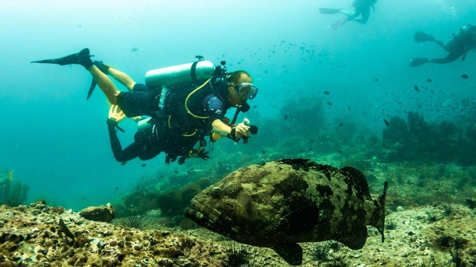 A participant scuba diving to get the PADI certificate in Santa Ponsa during a tour offered by Dive Academy Santa Pola.