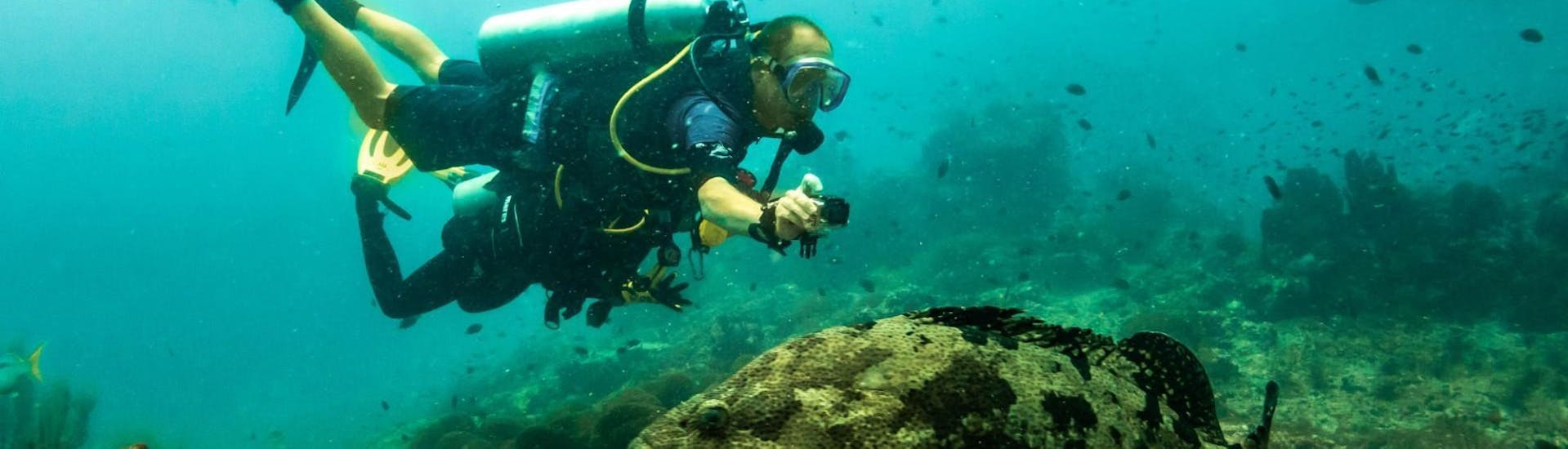 Un participant à la formation de plongée sous-marine pour obtenir le certificat PADI Open Water à Santa Ponsa pendant une sortie proposée par Dive Academy Santa Pola.