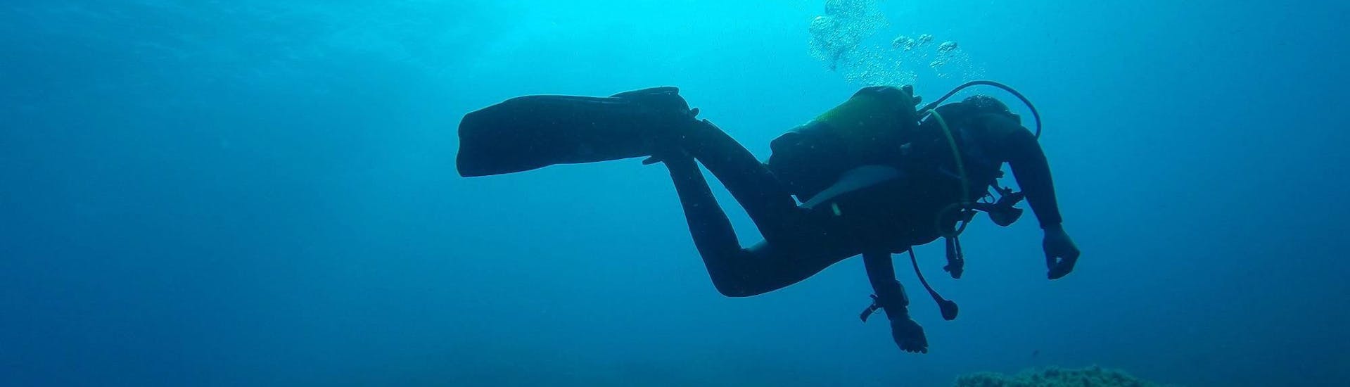 SSI Open Water Diver Tauchkurs in Bonifacio für Anfänger.