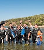 Eine Gruppe von Tauchern beim Schnuppertauchen in Rijeka mit Diving Center Marco Polo Rijeka.