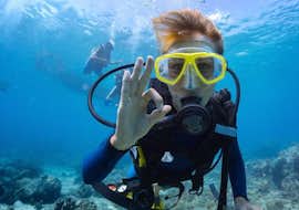 SSI Try Scuba für Anfänger in Mali Lošinj mit SUB SEA SON - Diving Mali Lošinj Ein junger Mann beim Tauchen im Meer in Mali Lošinnj, Kroatien mit der Tauschule Sub Sea Son.
