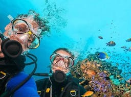 Deux plongeurs de l'école de plongée Sub Sea Son explorent le monde sous-marin à Mali Lošinj.