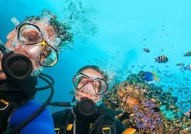SSI Scuba Rangers Tauchkurs für Kinder (8-10 J.) in Mali Lošinj mit SUB SEA SON - Diving Mali Lošinj Zwei Taucher der Tauchschule Sub Sea Son erkunden die Unterwasserwelt in Mali Lošinj.