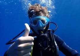 PADI Discover Scuba Diving in Port d'Andrax with Balear Divers. A person enjoying underwater with PADI Discover Scuba Diving in Port d'Andrax with Balear Divers.