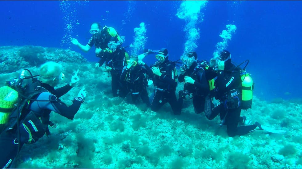 A group of 7 people diving under water during PADI Open Water Diver Course for Beginners in Port d'Andratx with Balear Divers.