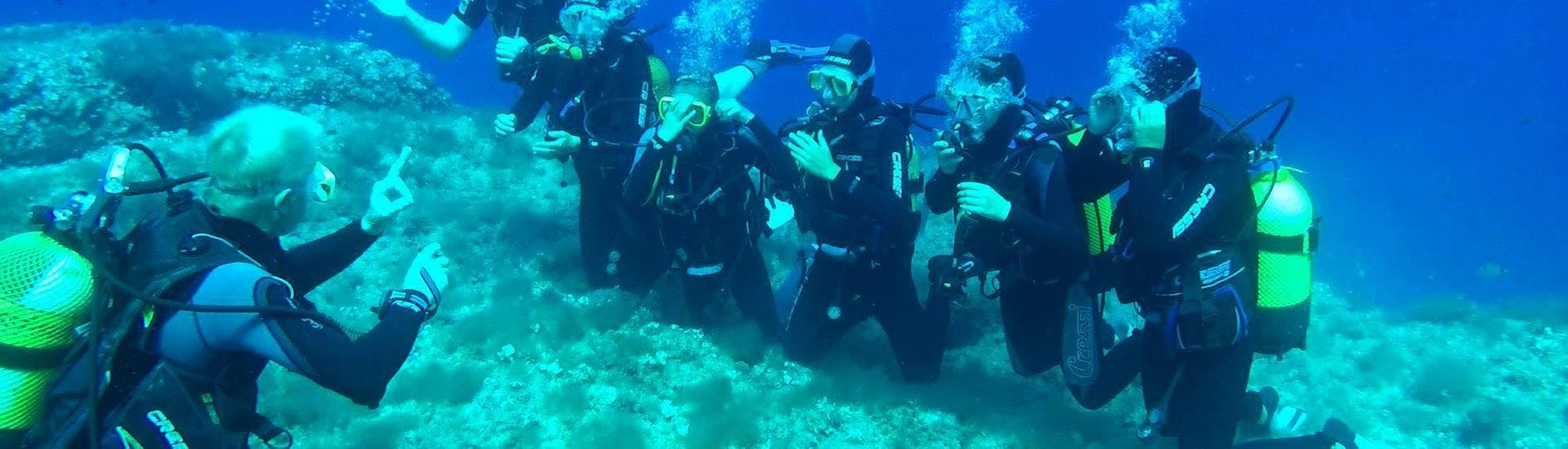 Un groupe de 7 personnes plongeant sous l'eau pendant le cours PADI Open Water Diver pour débutants à Port d'Andratx avec Balear Divers.