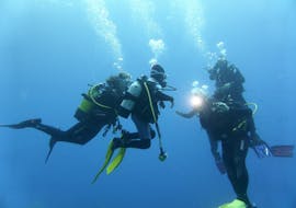 Four persons diving during PADI Advanced Open Water Diver Course in Port d'Andratx with Balear Divers.