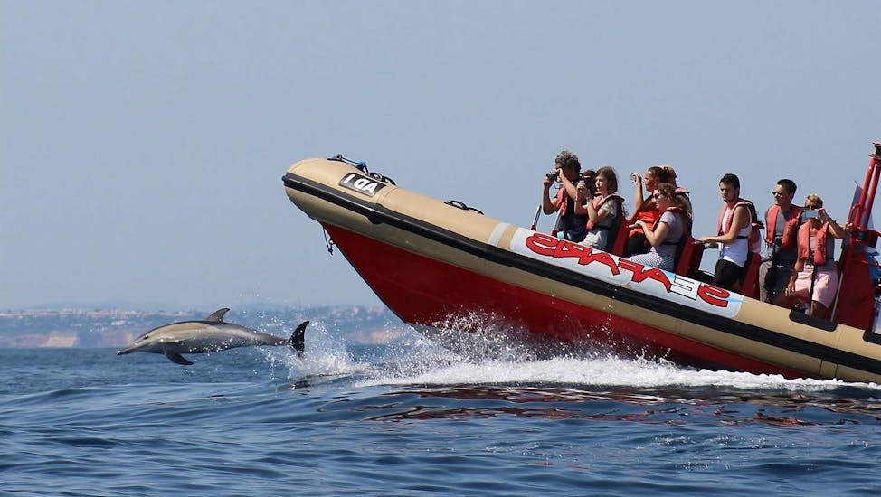 People taking pictures of a dolphin jumping during the Dolphin Watching Boat Trip in Lagos.