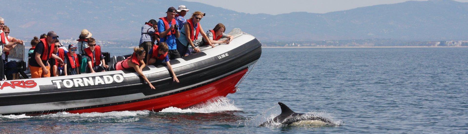 During a dolphin watching boat trip in Portimao with Seafaris Algarve, visitors are admiring the friendly animals from the boat.
