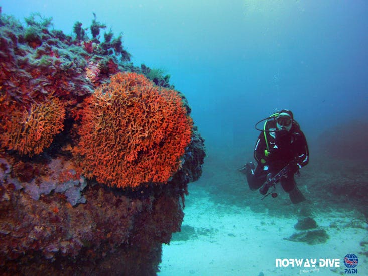 Participant scuba diving in the Torrenova Coastline posing for the photo during an activity by Norway Dive Mallorca.