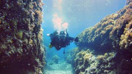 Plongées d'exploration à Torrenova pour plongeurs certifiés avec Norway Dive Mallorca.