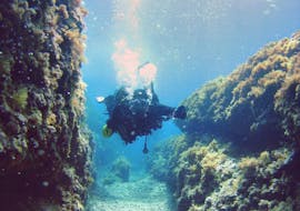 Plongées d'exploration à Torrenova pour plongeurs certifiés avec Norway Dive Mallorca.