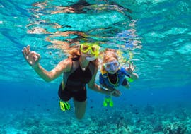 Snorkeling - Torrenova with Norway Dive Mallorca