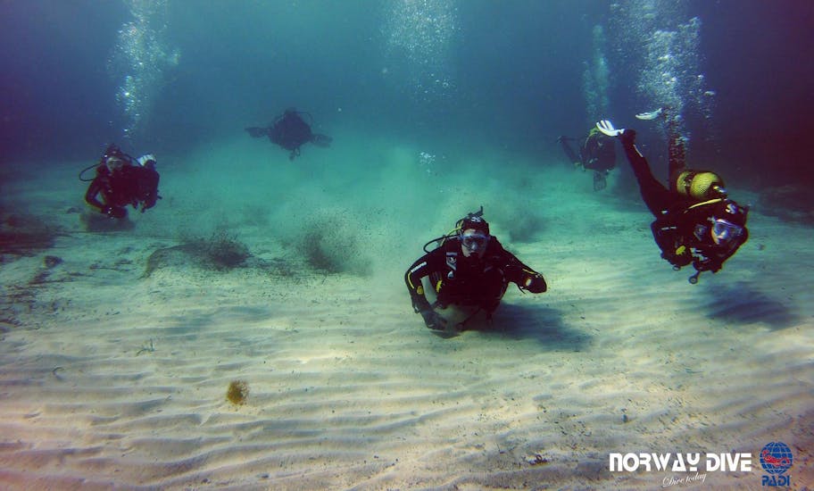 Deelnemers poseren en duiken in de Torrenova kustlijn voor de foto tijdens een activiteit van Norway Dive Mallorca.