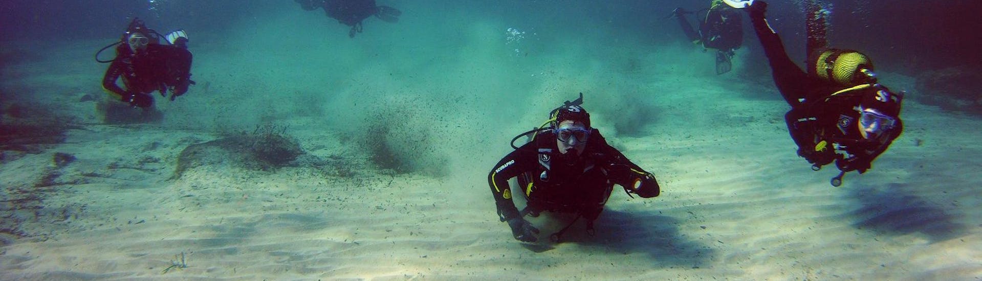 Scuba Diving Course for Beginners - PADI Open Water Diver with Norway Dive Mallorca - Hero image