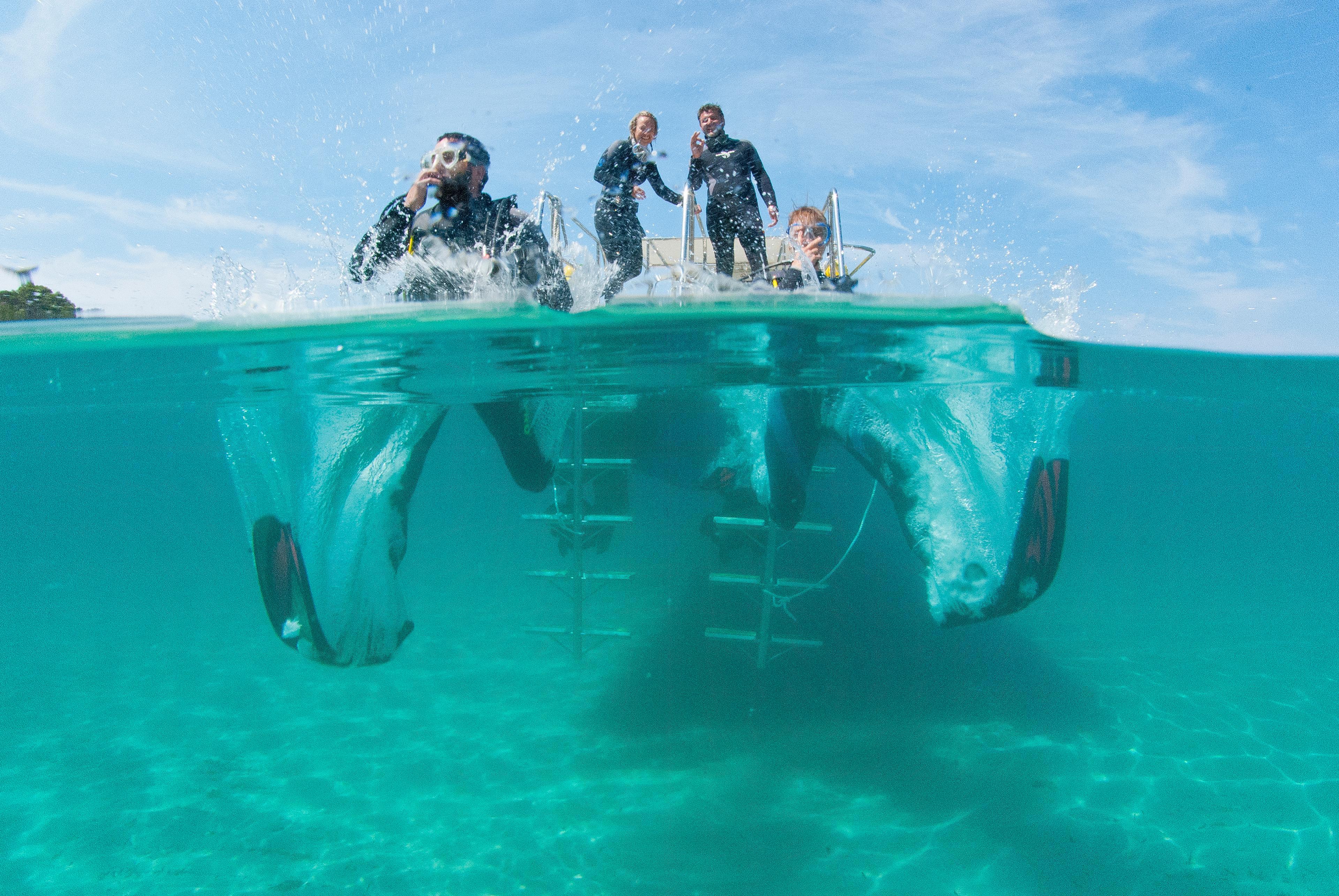 ▷ Wreck Diving Mallorca (Majorca): 4 Offers with the Best Prices 2024 -  CheckYeti