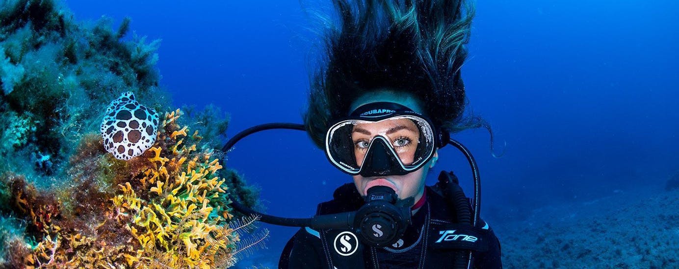A participant scuba diving in Santa Ponsa during a tour offered by ZOEA Mallorca.