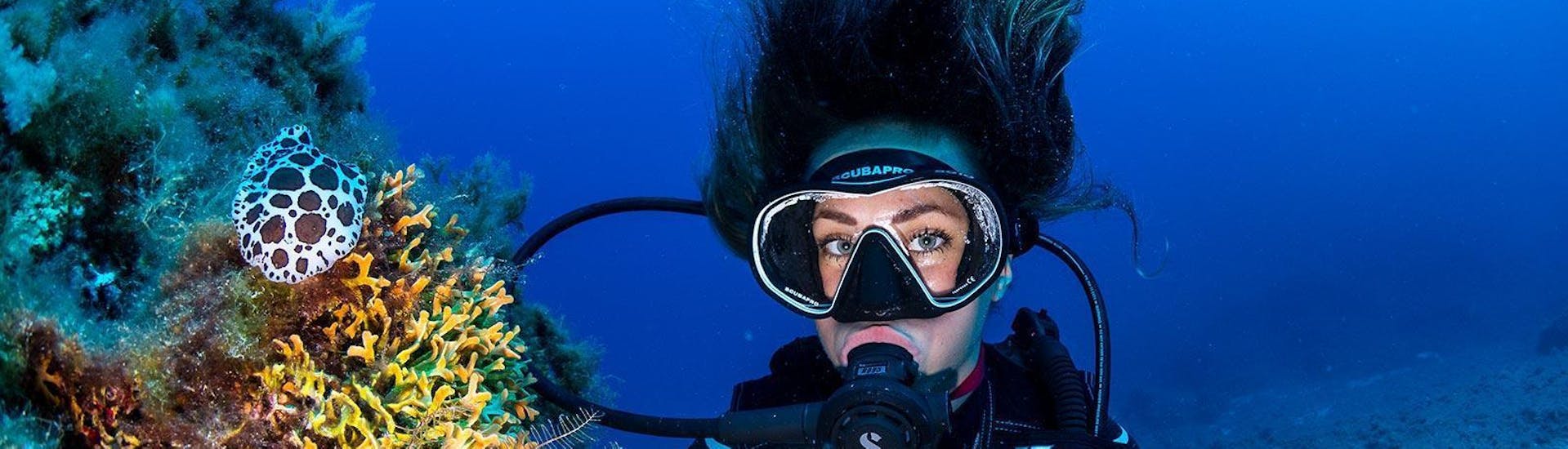 A participant scuba diving in Santa Ponsa during a tour offered by ZOEA Mallorca.