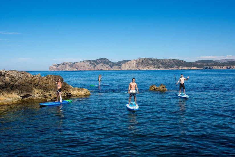 Alquiler de material para Stand Up Paddle Surf en Ibiza, padel surf