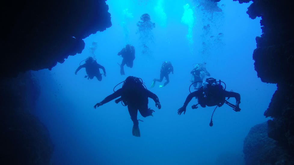 Divers underwater during Guided Dives from Dubrovnik for Certified Divers with Diving Center Blue Planet Dubrovnik.
